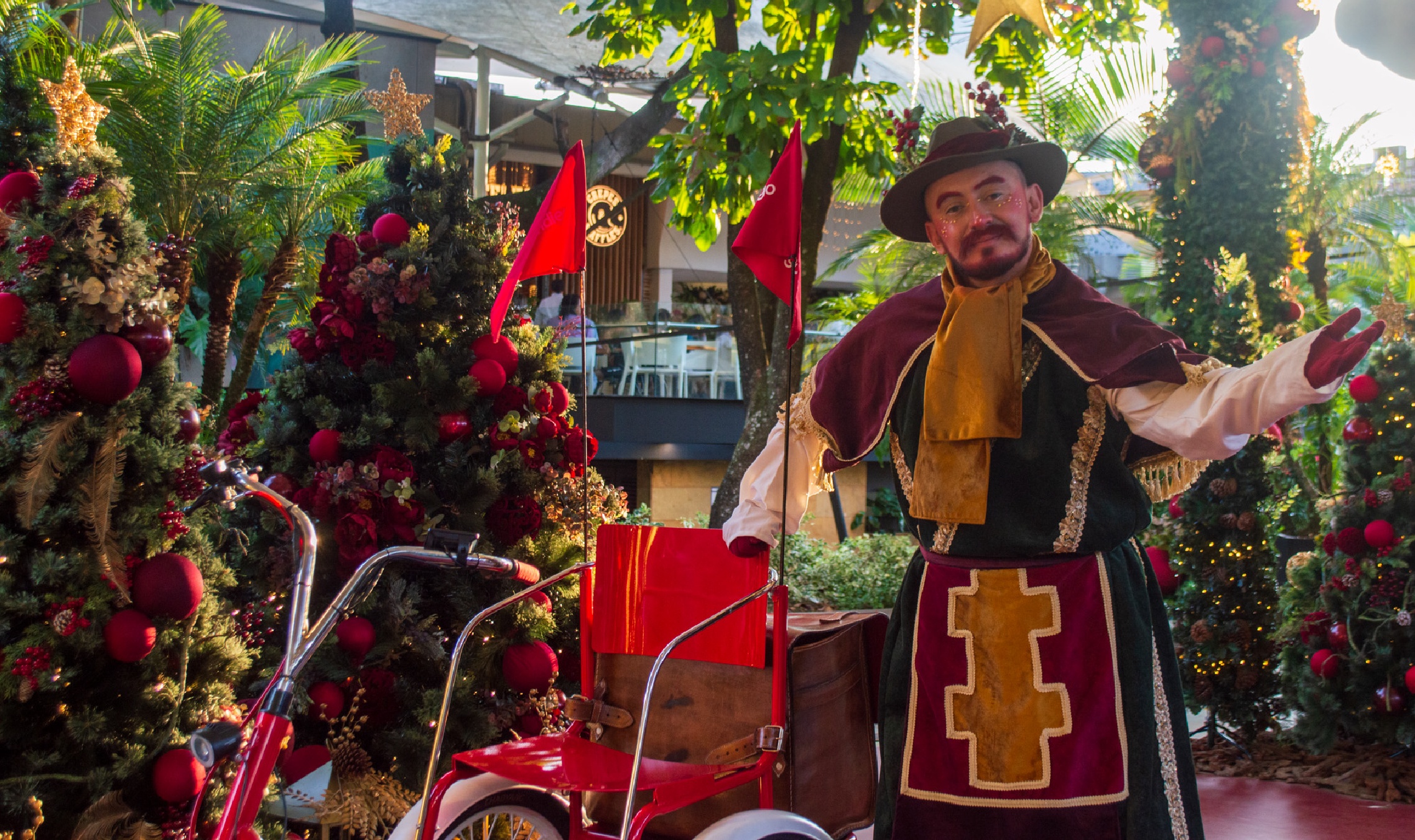 Imagen Apertura de Navidad